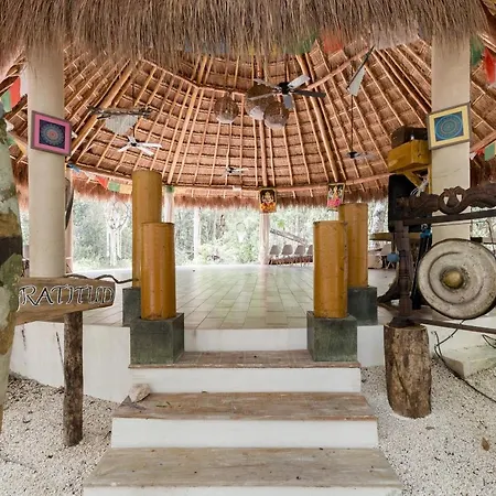 Cachito De Cielo Luxury Jungle Lodge-2