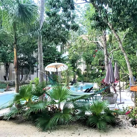 Cachito De Cielo Luxury Jungle Lodge-3